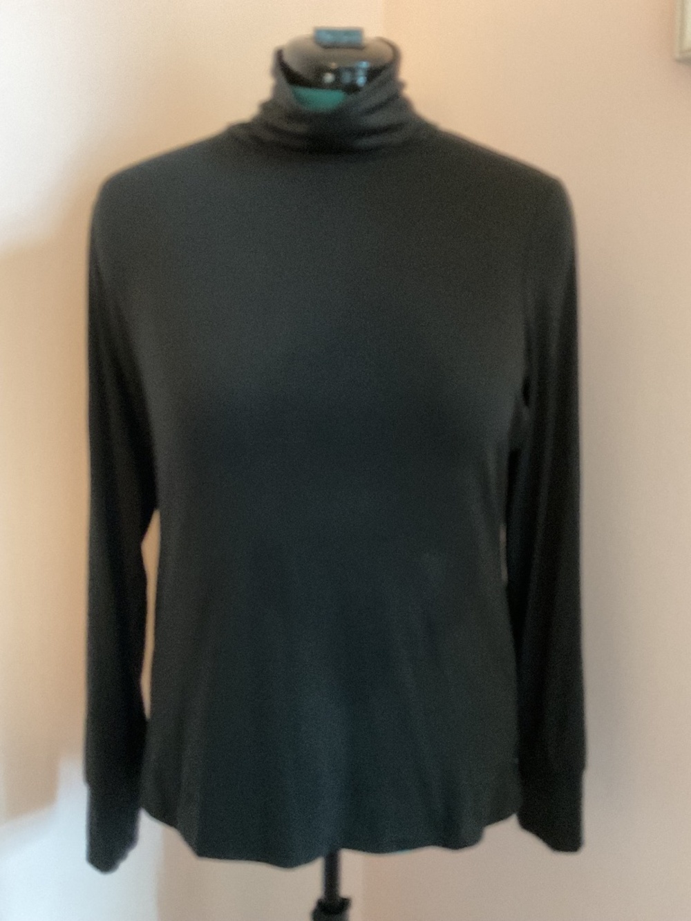 Lands' End Thermaskin Longsleeve Turtleneck